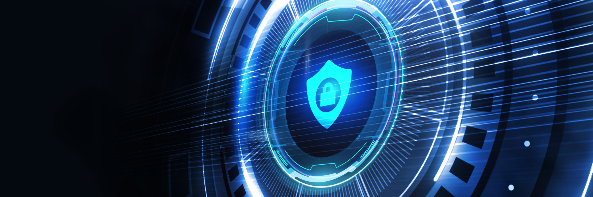 Ensuring data security in the privacy age